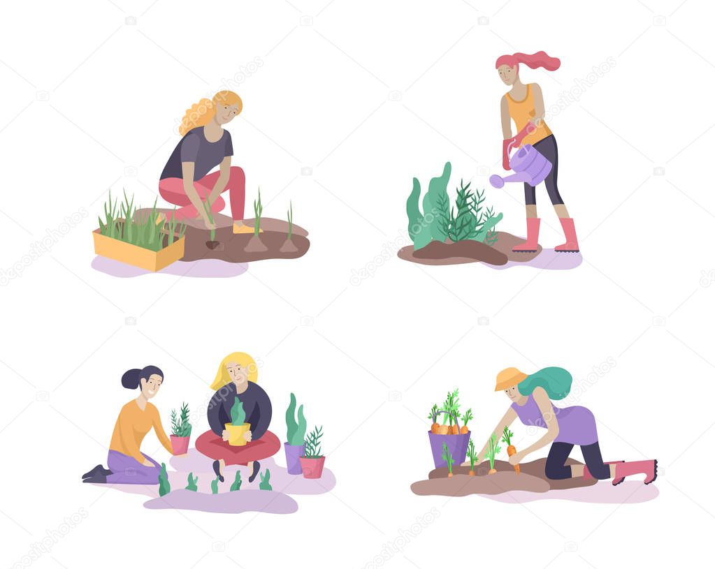 Harvesting and gardening people doing farming and garden job, pick berries, remove weeds, watering, planting, growing and transplant sprouts, lay ripe vegetables to box. Reaping crop