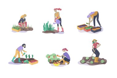 Hasat ve bahçe insanlar tarım ve bahçe işi yapıyor, çilek almak, soğan kaldırmak, sulama, ekim, yetiştirme ve nakli filiz, kutu ya da olgun sebze yatıyordu. Hasat kırpma