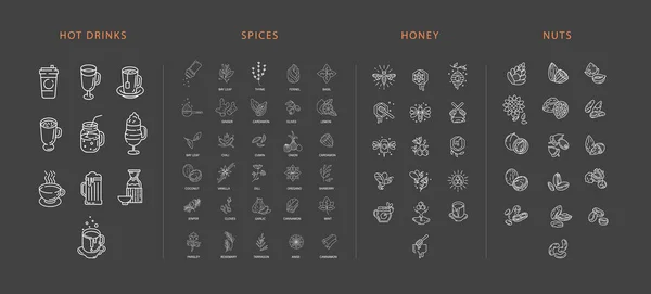 Vector Icon Logo Collection Hot Drinks Spices Nuts Honey Editable — Stock Vector