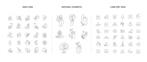 Icono Vectorial Colección Logotipos Para Cosméticos Naturales Con Mano Cuidado — Vector de stock