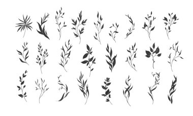 Silüet veya linocut çizim tarzında sofistike bir dal kümesi. Düğün davetiyesi için lüks çiçek koleksiyonu, duvar kâğıdı sanatı ya da randevu kartını sakla. Botanik vektör illüstrasyonu