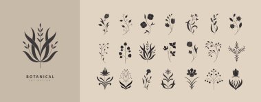 Basit geometrik dallar ve çiçekler. Botanik silueti, dalgalı ve boho elementleri. Logo, ambalaj ve tebrik kartı için yapraklar ve dallar yazdırır