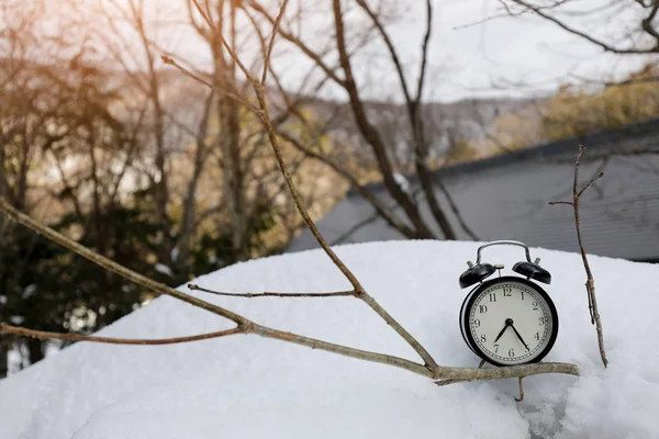 ツリーと山の背景と雪の上のヴィンテージ目覚まし時計. — ストック写真