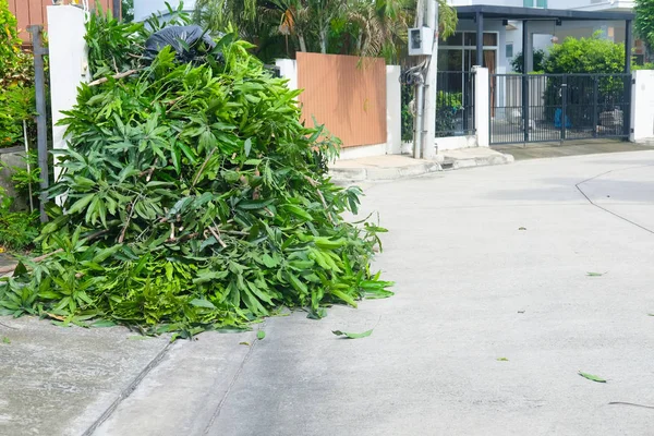 Stapel Gesneden Boomtakken Hen Afval Vuilnis Prullenbak — Stockfoto