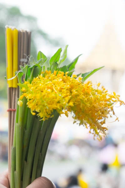 Globba Schombugkii Květiny Svíčky Vonné Tyčinky Nabídku Které Thajský Buddhismus — Stock fotografie