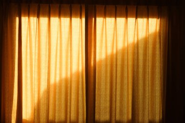 Hafif yumuşak sarı pastel renk - iç dekorasyon çekilen perdeleri