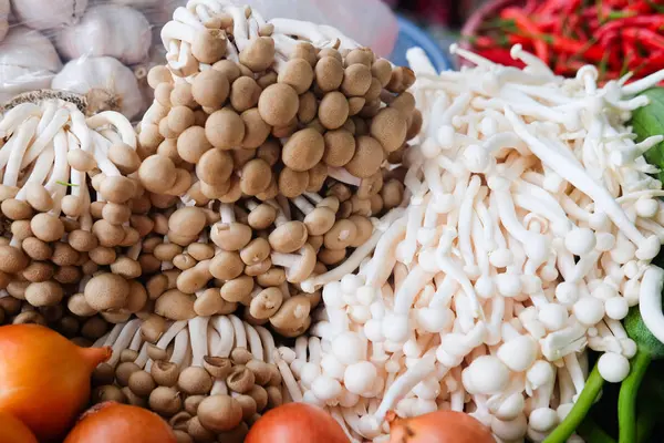 Tropikal mantar Tay gıda pazarı durak üzerinde görüntülenen için kullanılan.