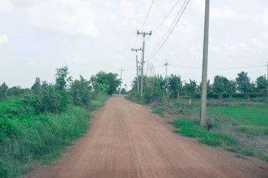 Ağaç ve Tayland elektrik direği olan kırsal yol