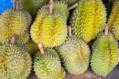 Durian meyve müşterilere pazarında Satılık