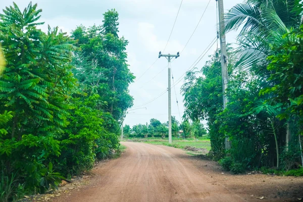 Countryside road with tree and electric pole in Thailand