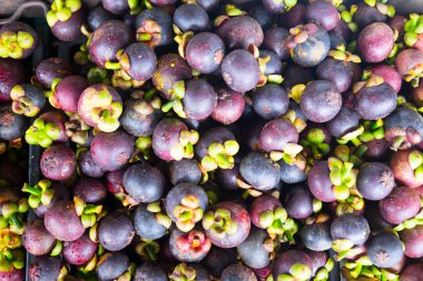 Mangosten meyve Tayland kraliçesi ve Asya meyve Tay street gıda ve meyve pazarı satın bir tatlı olabilir