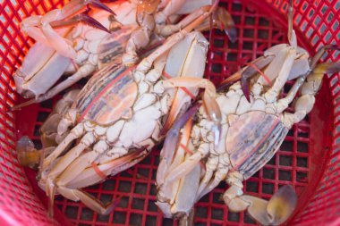 Taze çiğ yengeç sepeti Tay deniz ürünleri pazarında Tarih yığını