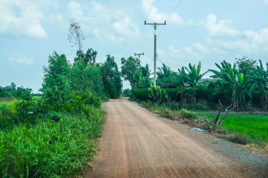 Ağaç ve Tayland elektrik direği olan kırsal yol