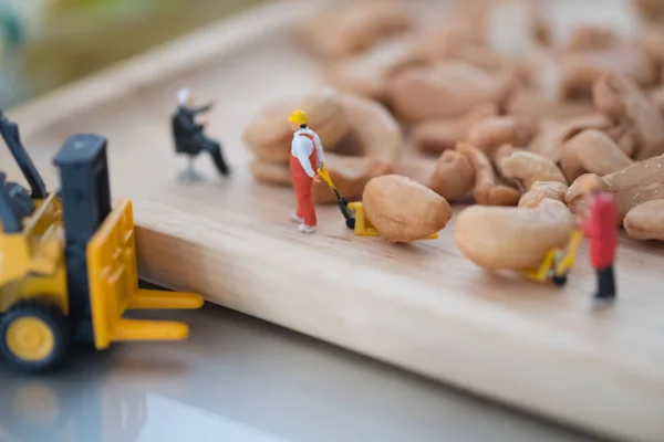 Miniature people workers moving cashew for export. selecting best quality concept.
