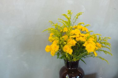 Vazoda sarı kasımpatı çiçekleri parlak