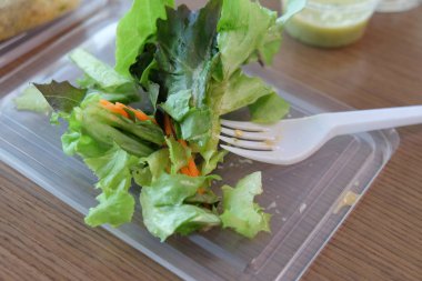 Taze yeşil meşe yaprağı marul salatası. Çatal tutan. Temiz yemek diyet gıda kavramı