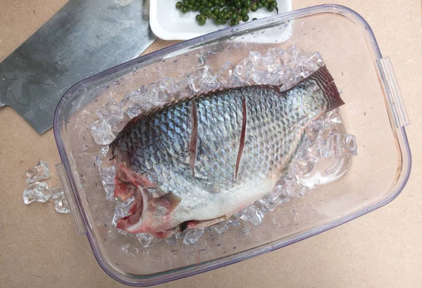 Сырая Тилапия Рыбы Коробке Приготовления Пищи Травами Тайская Еда — стоковое фото