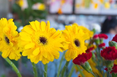 Güzel hediye için parlak sarı gerbera buketi