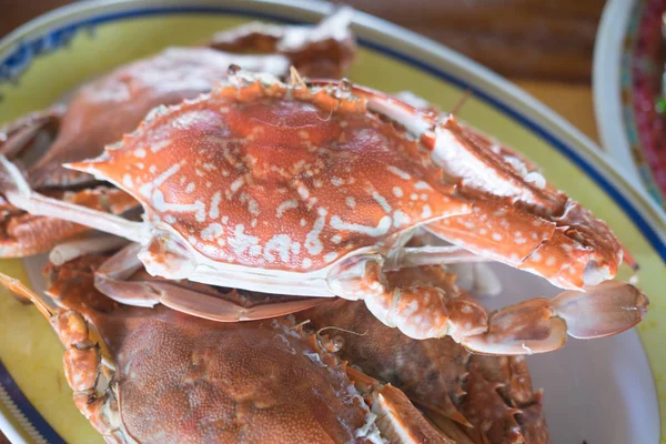 Ångad Sea Krabba Premium Grade Maträtt — Stockfoto