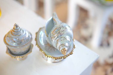 Tay tarzı düğün kabuklu deniz hayvanı kabuğu dökün su evli çiftler el için kullanın ve servet için onları korusun.