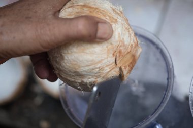 Adam taze Hindistan cevizi bir bıçakla kesiyor. İçmek için hazırlanıyor.