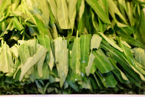 Morning glory groente of moeras kool plantaardige — Stockfoto