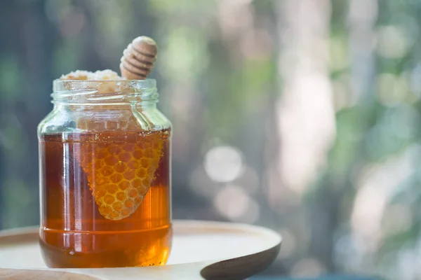 Sweet honeycomb and wooden Honey dripping. Honey dipper — Stock Photo, Image