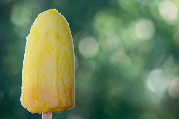 Gelo caseiro pops feito com diferentes sucos de frutas naturais — Fotografia de Stock