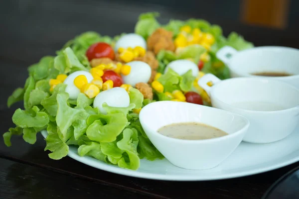 Salad segar dengan daun oak hijau selada makanan sayuran organik — Stok Foto