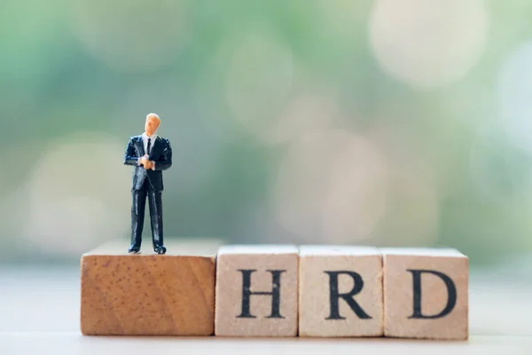 Miniature businessman standing on wooden block word HRD (Human r