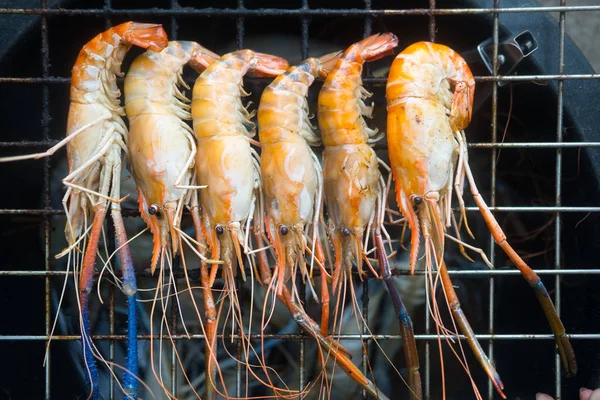 Grilled shrimp or grilled prawn