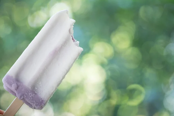 Ahşap sopa üzerinde bir taro dondurma tutan el — Stok fotoğraf