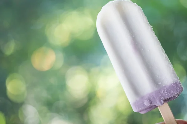 Ahşap çubuk üzerinde bir taro dondurma — Stok fotoğraf