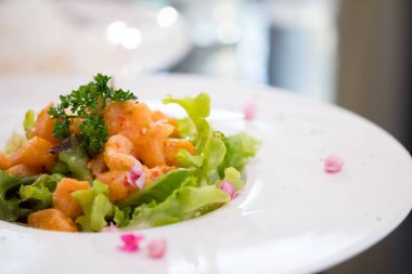 Baharatlı somon salatası taze yeşil meşe servis