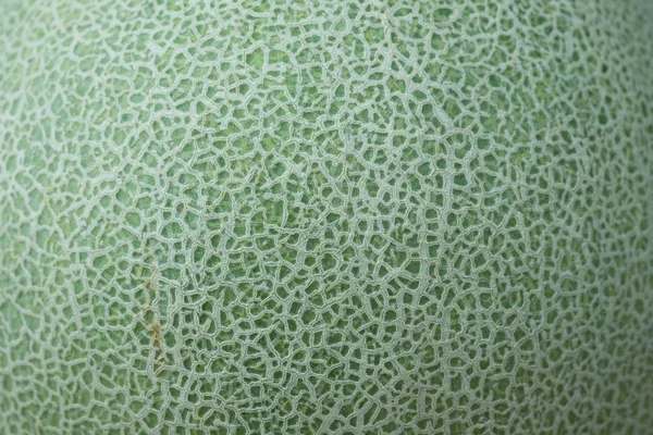 Skin of cantaloupe melon background and texture — Stock Photo, Image