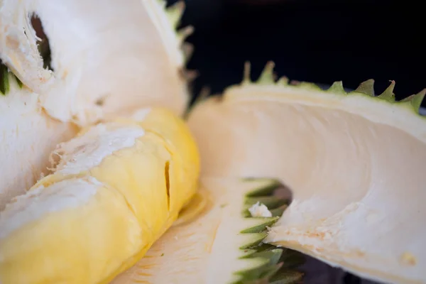Verse durian fruit uit de tuin van de durian voor verkoop in de lokale — Stockfoto