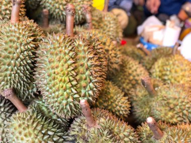 Sokak pazarında satılık taze durian tropikal meyve