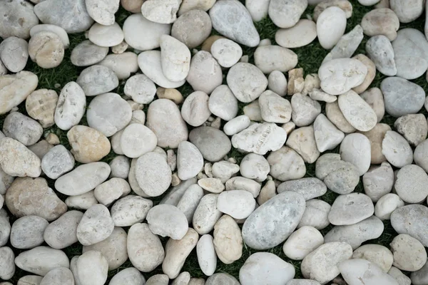 Guijarros blancos para fondo y textura — Foto de Stock