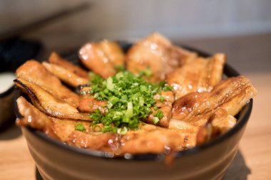 Teriyaki domuz eti Pilav kasesi, butadon, Japon yemekleri