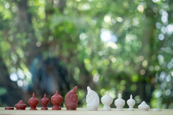 Fighting between white and black knights, Thai chess — Stock Photo, Image