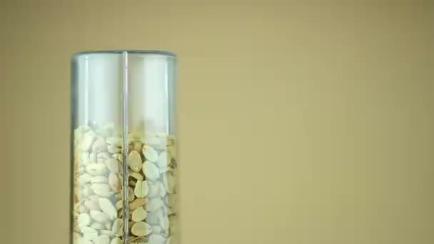 Amendoins São Moídos Num Liquidificador Fechar — Vídeo de Stock