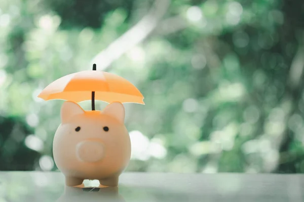 Pembe kumbara ve turuncu şemsiye. Para ve yatırım kavramını sakla.