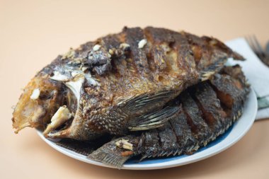 Kızarmış Tilapia balığı, tabakta kızartıldıktan sonra yemeye hazır. Tayland usulü ev yemeği kavramı