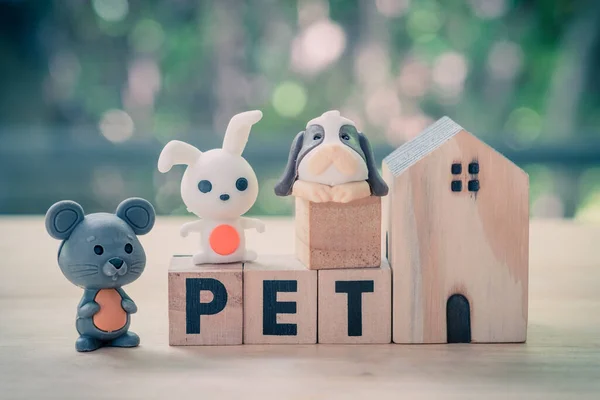 Miniatura Conejo Perro Rata Bloque Madera Palabra Pet Con Casa —  Fotos de Stock