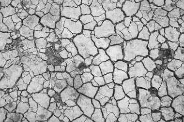 Kuru toprak ya da çatlak zemin dokusu. Üst görünüm
