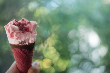 El ele tutuşup pembe waffle külahı ile doğanın bulanık arka planında çilekli dondurmanın görüntüsünü kapat.