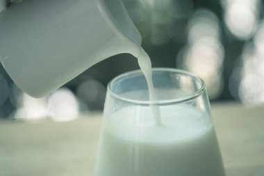 Doğanın arka planında bir bardağa taze süt dökmek