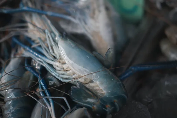 Udang Mentah Segar Untuk Dijual Pasar Makanan Laut Thailand — Stok Foto