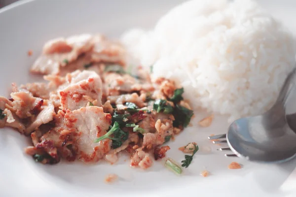 Daging Babi Goreng Dengan Bawang Putih Renyah Dengan Nasi Piring — Stok Foto