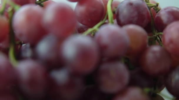 Close Macro Sliding View Fresh Red Grapes — Stock Video